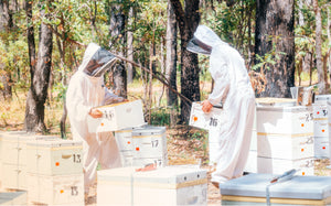 Our Beekeeping